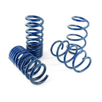 Ford Racing 2015-2019 Mustang GT350 Sänkningssats -20mm